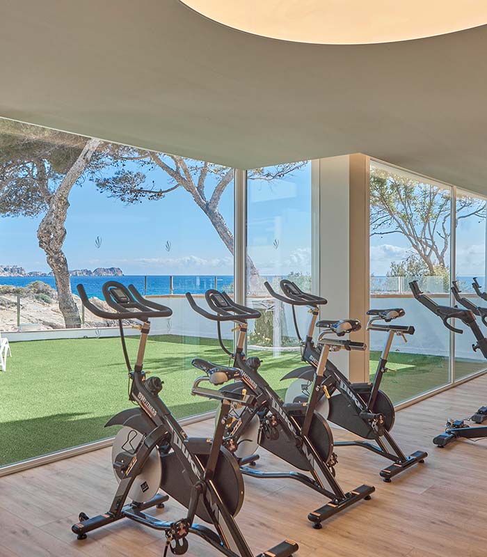 fitness fitness universal beach hotels