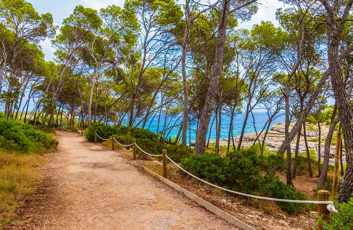 Randonnée Mallorca Formentera Randonnée universal beach hotels