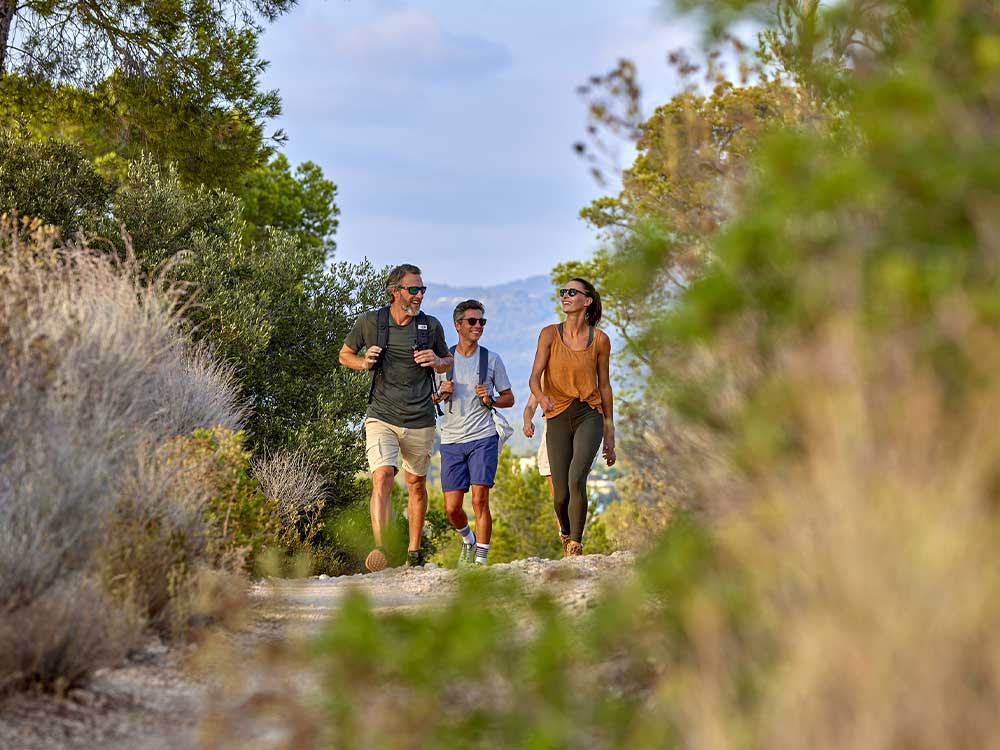 servicios incoming universal beach hotels