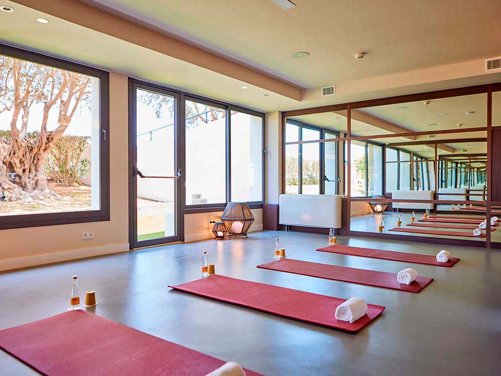 gimnasio universal grand leon spa