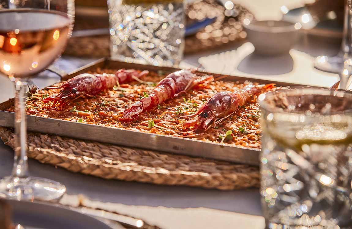 Gastronomy Gastronomy universal hotel aquamarin