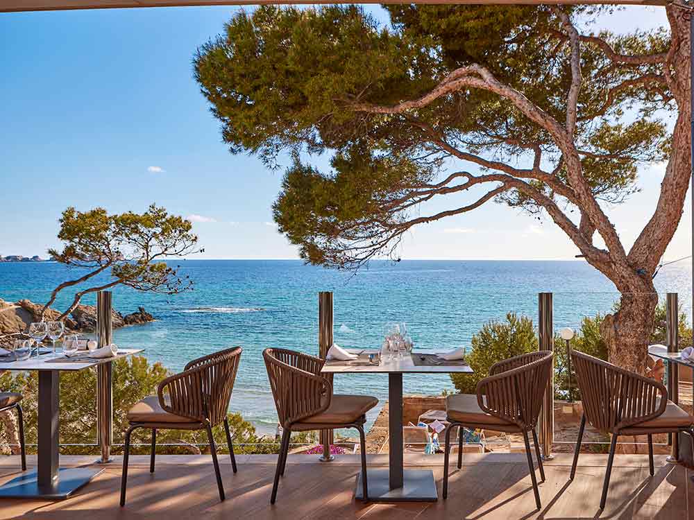 Gastronomía servicio gastronomia universal hotel lido park spa