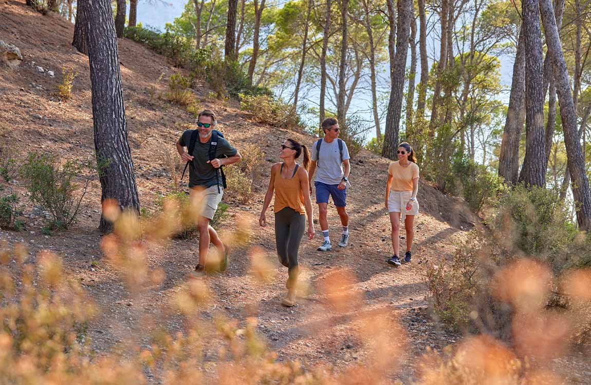 rutas rutas universal hotel neptuno adults only