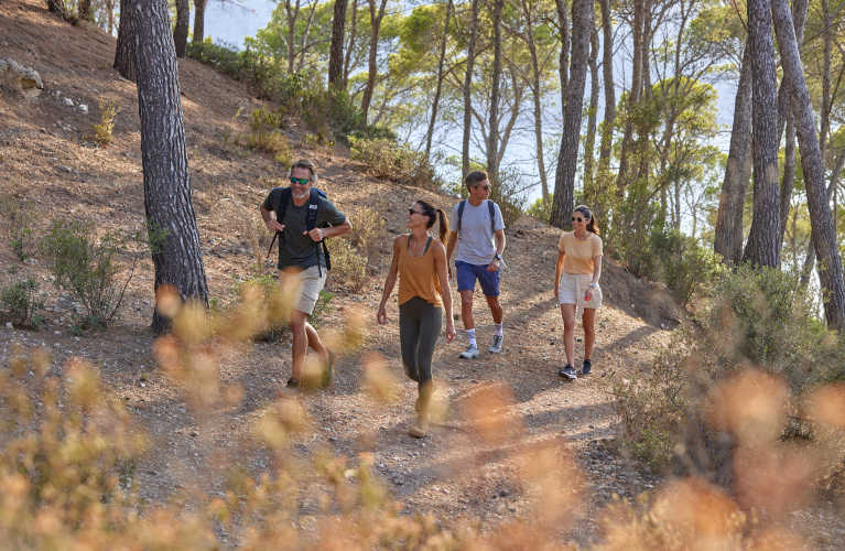 rutas rutas universal hotel romantica