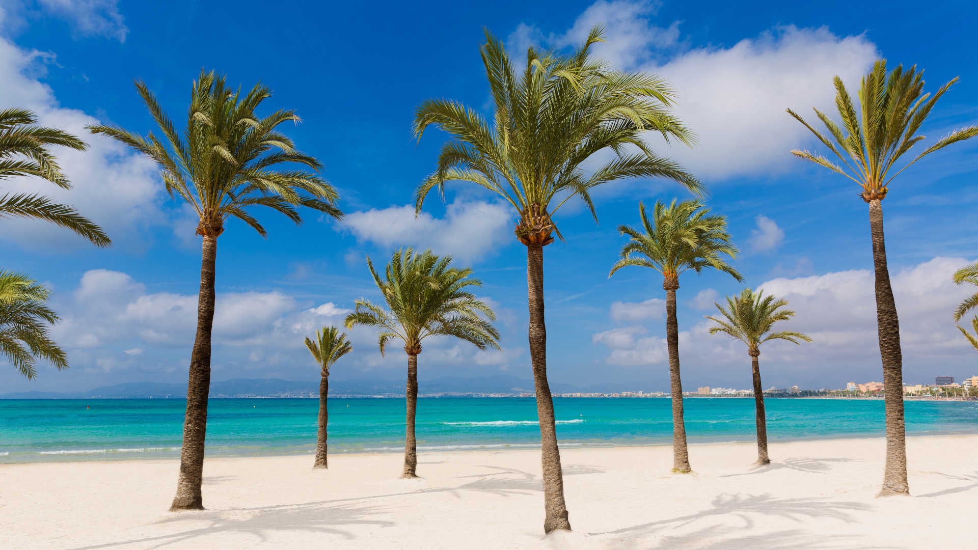 promotion primtemps Offre universal beach hotels